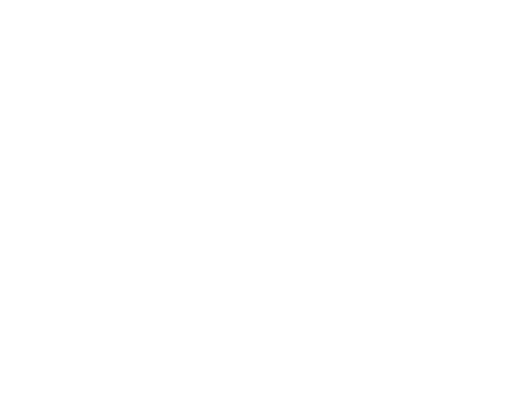 Diploma Course