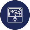 Career Opportunities ICONS-12